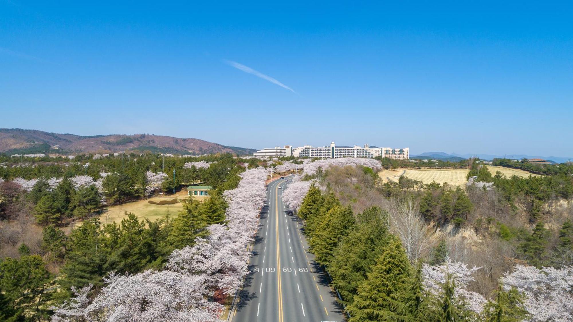 Kensington Resort Gyeongju Exterior foto